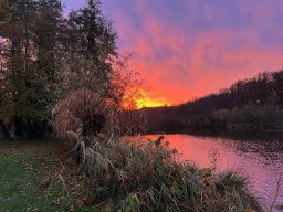 impressionen weiher_04